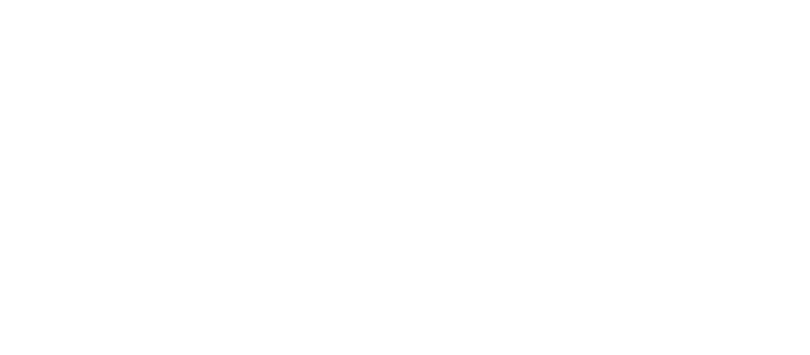 Heinz