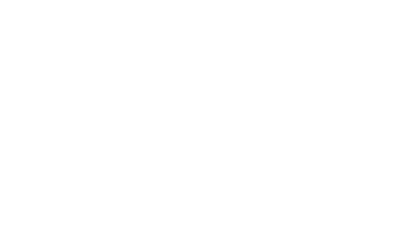 Orkin